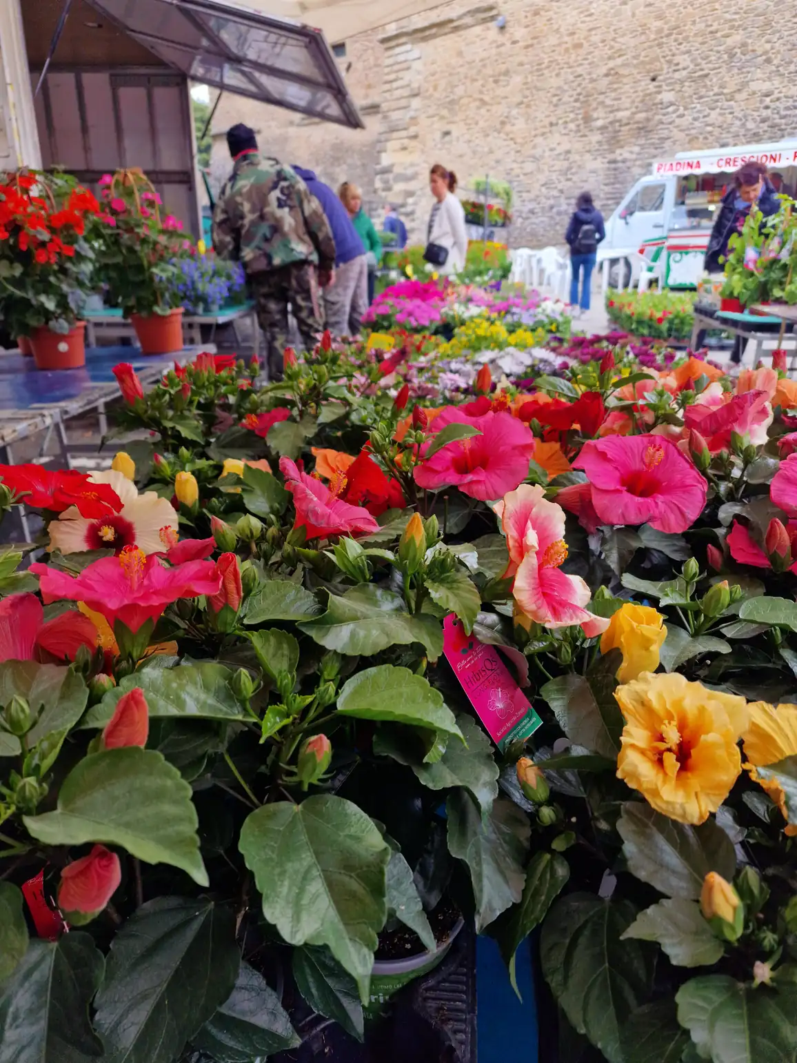 Festa dei Fiori - foto 11