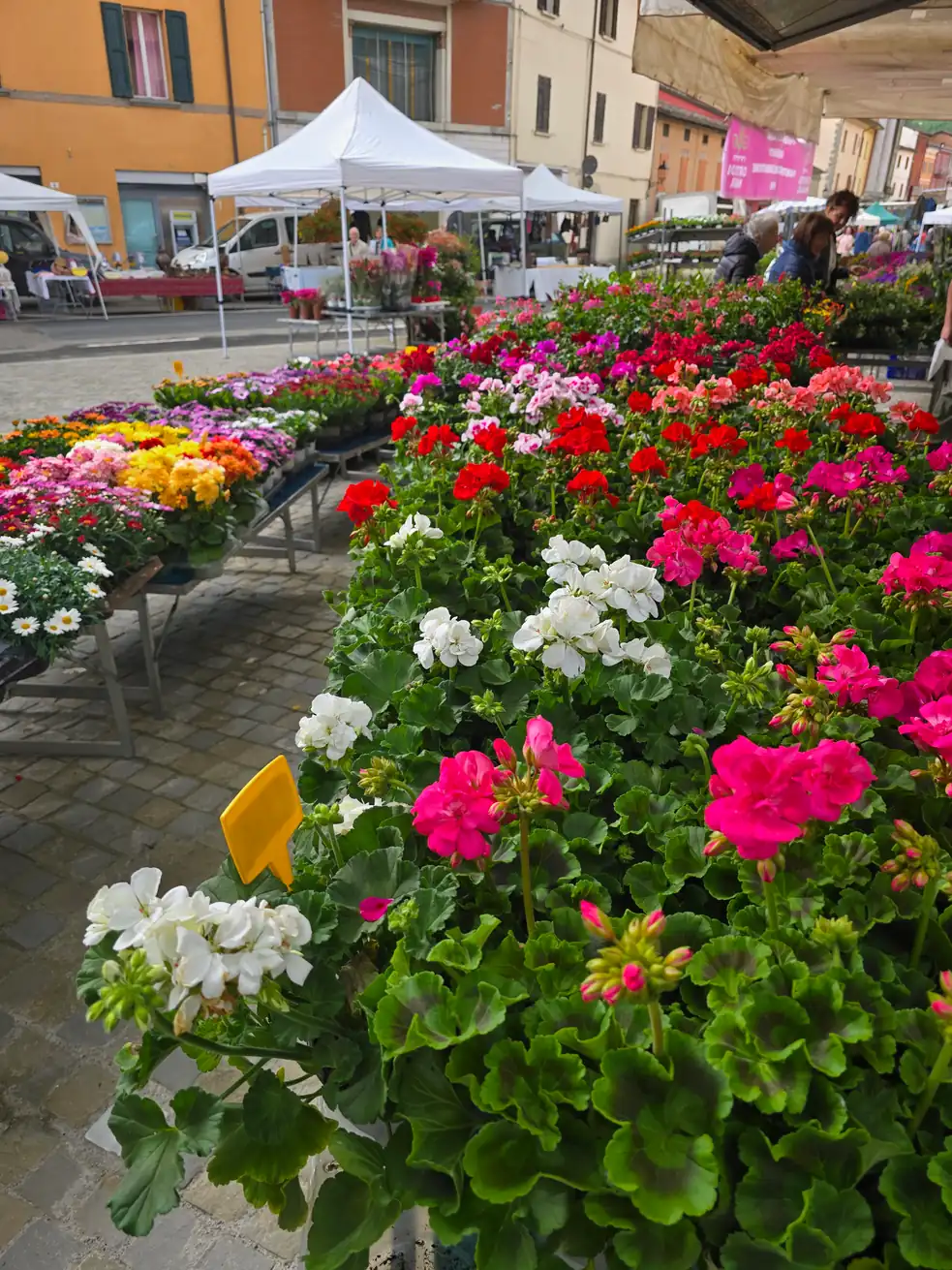 Festa dei Fiori - foto 2
