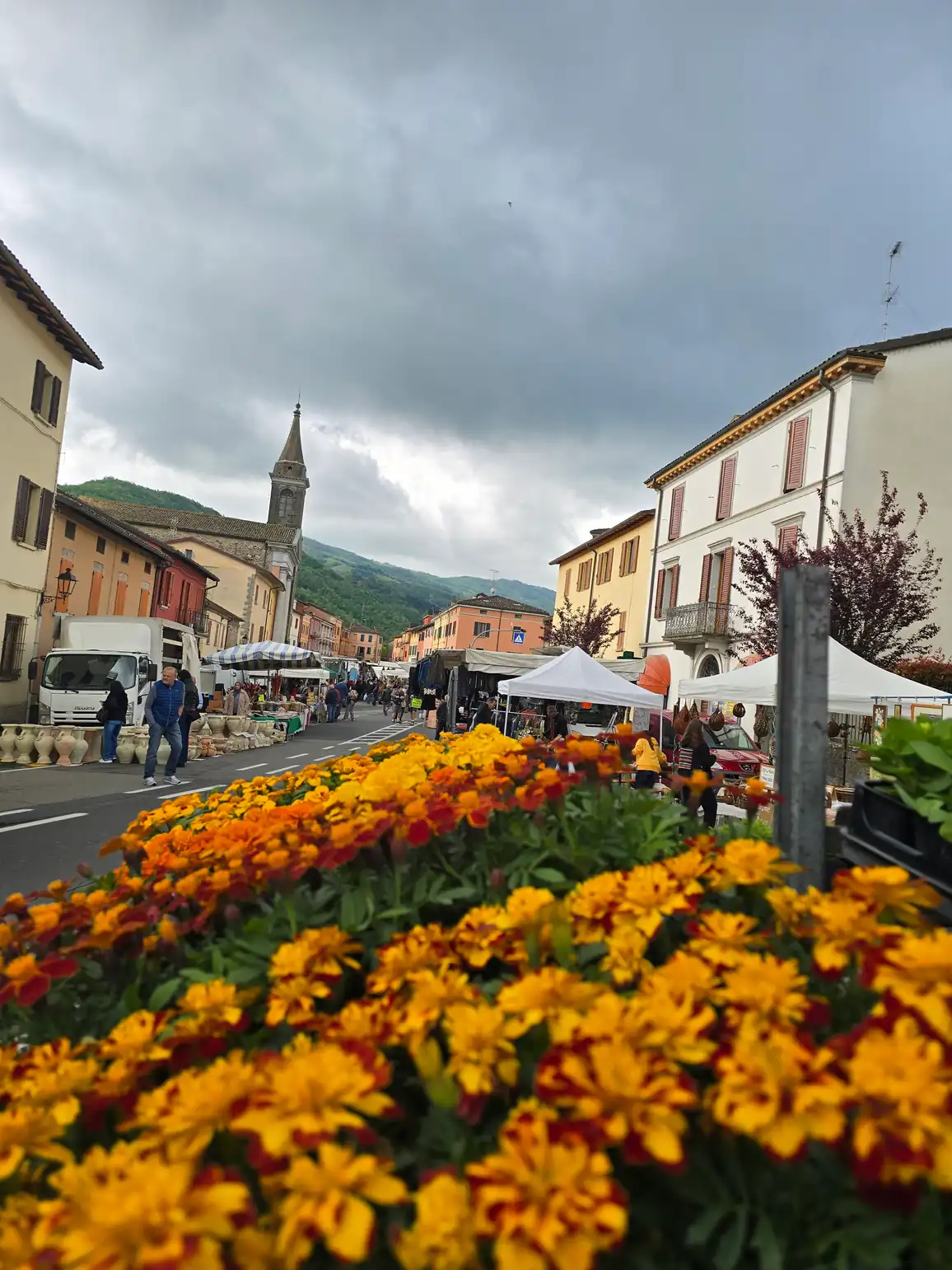 Festa dei Fiori - foto 4