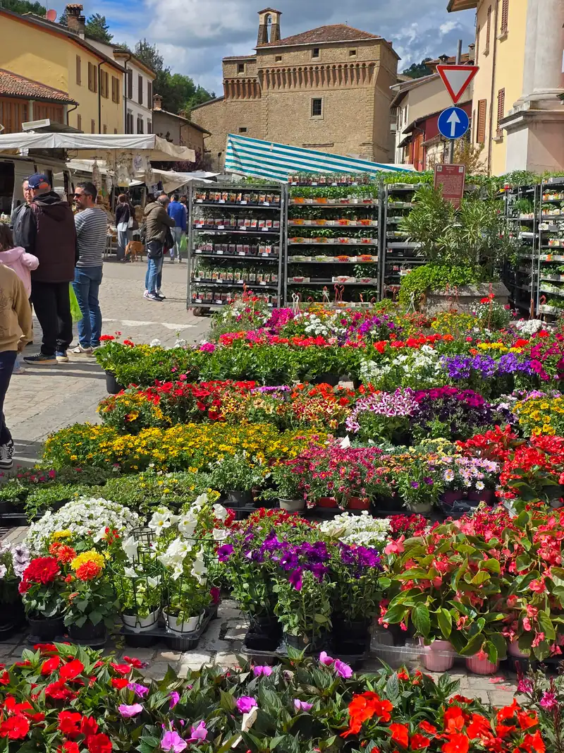 Festa dei Fiori - foto 10