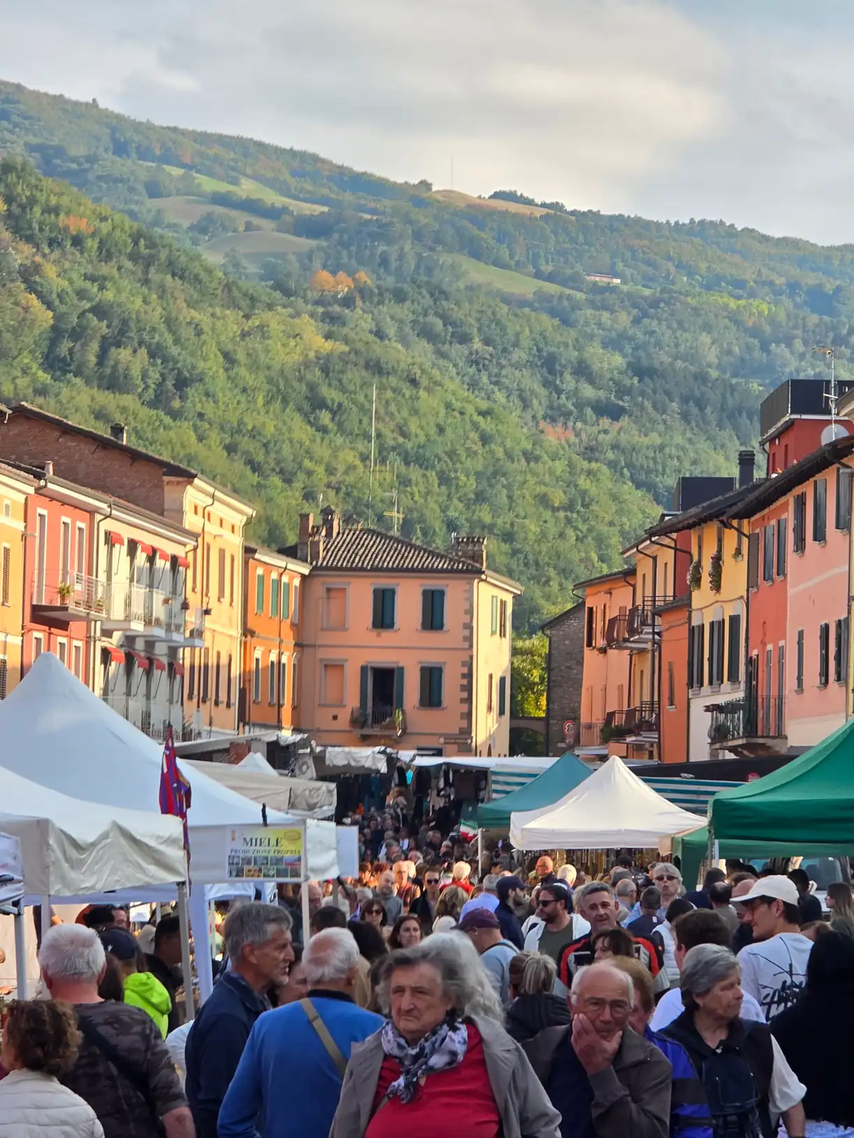 Sagra del Marrone di Castel del Rio - foto 4